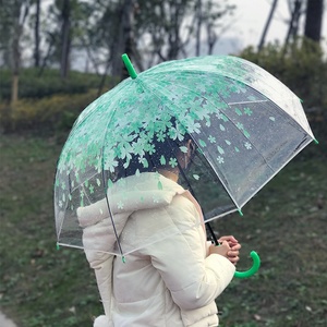Customized Transparent Straight Auto Open Kids Umbrella with Classic Crook Handle and Flower Printing Customized Clear Umbrella