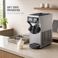 Machine à glace molle professionnelle à saveur unique en acier inoxydable pour comptoir, idéale pour les cafés et les pâtisseries