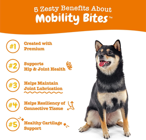 OEM علامة تجارية خاصة زيت السلمون للكلاب كميات سائبة من الفيتامينات للحيوانات الأليفة زجاجات الحيوانات الأليفة السلمون النقي لزيت الكلاب والقطط - Product Image 6