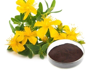 Tiêu chuẩn nhà máy chiết xuất <span class=keywords><strong>forsythia</strong></span> Fructus khóc lóc <span class=keywords><strong>forsythia</strong></span> chiết xuất bột - Product Image 1