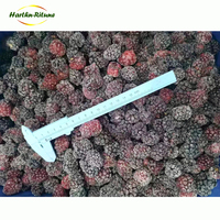 Mûres surgelées IQF du Shandong, emballage en vrac de 10 kg, certifiées HACCP, durée de conservation de 2 ans, pour la vente en gros