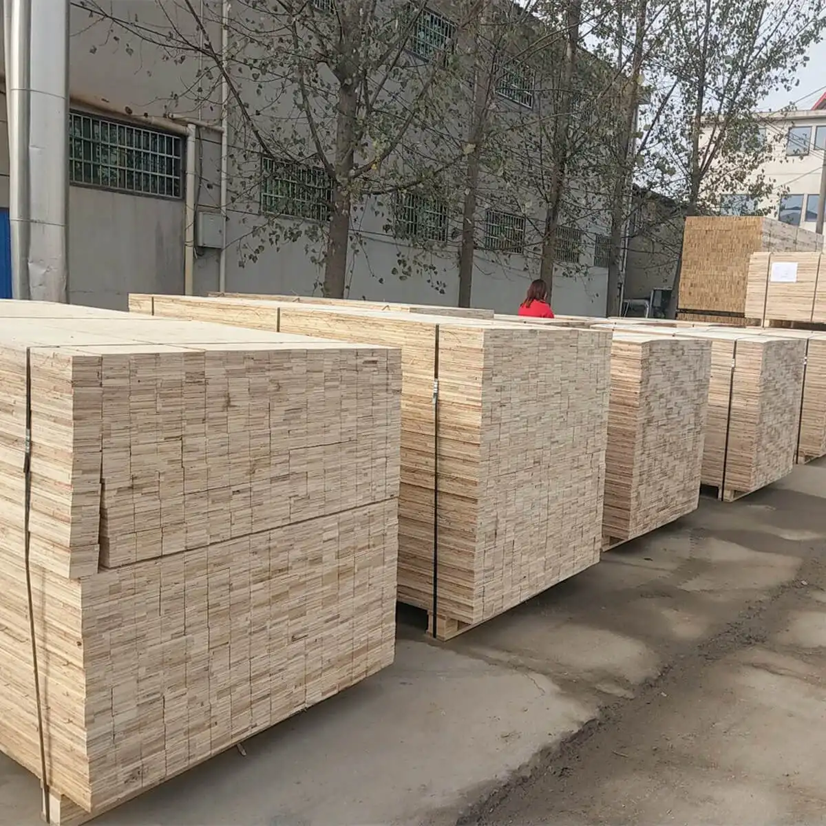 China fábrica direta melhor preço todos poplar lvl madeira para embalagem de paletes