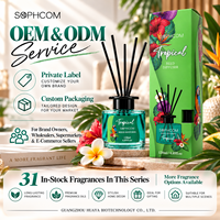 Diffuseur de parfum floral pour la maison, bouteille en verre, bâtonnets en fibre, décoration aromatique, vente en gros, fabricant, emballage cadeau