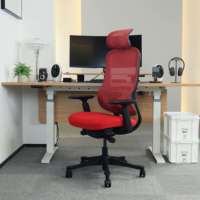 Tout nouveau BIFMA réglable pivotant bureau noir mode chaise ergonomie chaises de travail maille chaise ergonomique