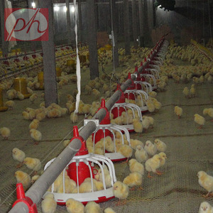 Trémie de silo automatique pour élevage au sol de poulets de chair PH nouvelle condition ligne d'alimentation principale système d'aide à la cuvette d'alimentation - Product Image 2
