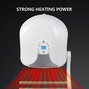 220V 2KW Wandmontage Elektrische Ventilator Kachel Met Waterdicht Gebruikt Voor Badkamer - Product Image 4