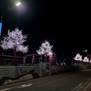 Tùy chỉnh ngoài trời đa màu sắc thay đổi giáng sinh lễ hội trang trí đèn nhân tạo 5m RGB khổng lồ <span class=keywords><strong>Led</strong></span> <span class=keywords><strong>Tree</strong></span> - Product Image 5