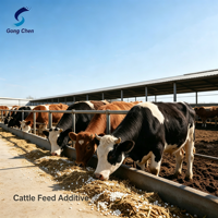 L-Thréonine de haute pureté, qualité alimentaire, acide aminé essentiel pour la nutrition animale avec approvisionnement stable et support professionnel