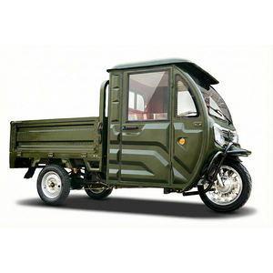 Triciclo de Carga Homologado por la CEE, Motocicleta de Tres Ruedas, Triciclo Eléctrico con Cabina Cerrada - Product Image 6