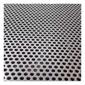 Galvanized Speaker Metal Perforated Sheet Stainless Steel Punched Hole Screen