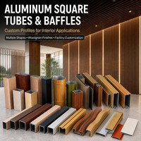 Baffle vertical 60x60 certifié ISO SGS CE, léger et anticorrosion, pour aéroport