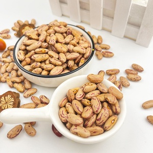 Fagioli di Mirtillo Rossi, Fagioli Kidney Leggermente Macchiati - Product Image 4