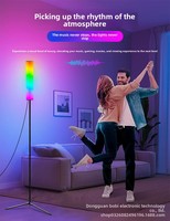 Lampe d'ambiance sur trépied LED, lumière d'ambiance RGB haut de gamme pour salon et chambre à coucher