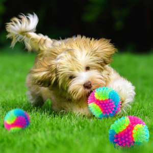 Parlak LED yanıp sönen elastik Spiky evcil interaktif çiğneme sıçrama Spiny gıcırtılı Molar köpekler topu - Product Image 5