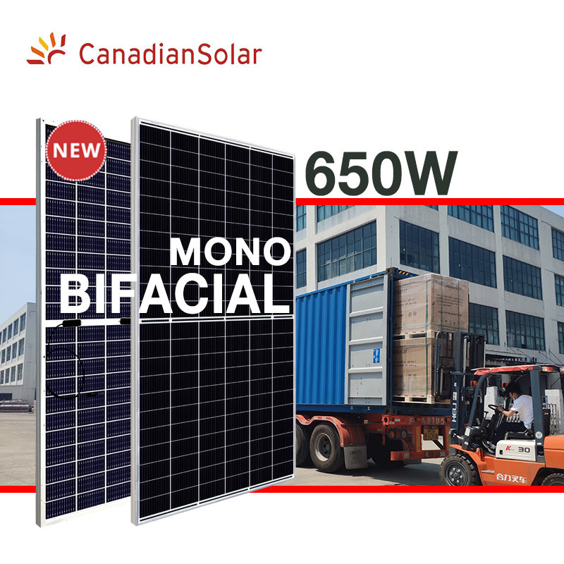 Высокая эффективность канадская Солнечная моно фотоэлектрическая билицевая солнечная панель 665W 650W 645W 640W 635W двойное стекло pv модуль