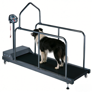 Equipo de Entrenamiento de Agilidad para Perros, Moderno y Personalizado, Máquina para Caminar para Animales con Peso Ajustable, Caminadora Económica de Acero para Perros - Product Image 3