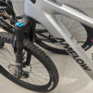 Amflow sospensione completa Ebike motore centrale E Bike Mtb <span class=keywords><strong>Dij</strong></span> Amflow Carbon Electric Mountain Bike - Product Image 3