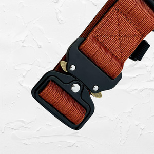 Collar de Perro Personalizado, Ajustable, Resistente, Táctico, con Asa, Hebilla Cobra, Liberación Rápida con una Mano - Product Image 3