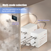 OEM/ODM/OBM, générateur de vapeur pour sauna humide de haute qualité, commande par application WiFi, 4,5KW/6KW/9KW/10,5KW/12KW/15KW/18KW, nouveau modèle