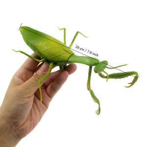 <span class=keywords><strong>Mantis</strong></span> Religiosa Eléctrica con Control Remoto Infrarrojo, Insecto Caminante de Plástico, Juguetes de Simulación de Animales IR, <span class=keywords><strong>Mantis</strong></span> RC - Product Image 4