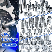 High Precision CNC Aluminum/stainless Steel/brass Fastener Screws ±0.001mm Buff Polishing Parts for Optical Instrument Equipment