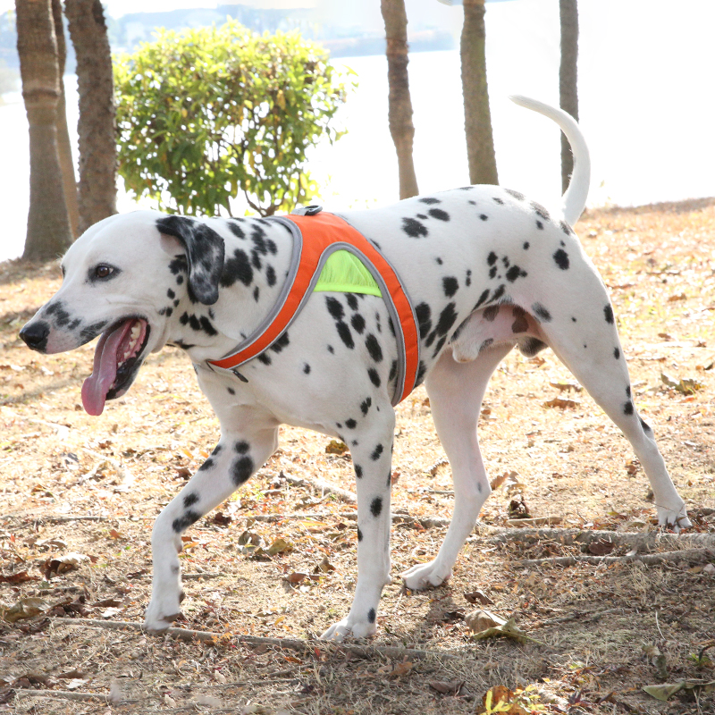 Customized Hot selling Pet Leash Set With Reflective Strips Comfortable Breathable Harness For Pet Dog