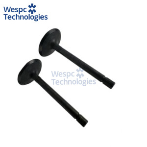 Soupape d'admission en fonte haute durabilité WESPC U20166380 pour moteurs Perkins 403A 403D 403F 403 403A-11G - Product Image 1