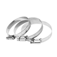 Colliers de serrage à câble autobloquants en acier inoxydable 304 robustes, à connexion rapide, pour tubes de 3,6 mm de large et 12 mm de diamètre, métriques OEM