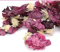 Bunga Hollyhock biasa alami Shu Kung Hua bunga kering ungu murni Hollyhock untuk teh