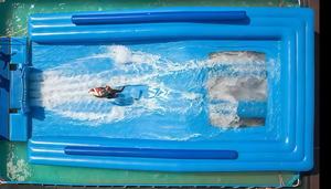 Nuevo Simulador de Surf Inflable, Fácil de Instalar, Inflable, Apto para Parques Acuáticos y Centros Comerciales <span class=keywords><strong>Flowrider</strong></span> - Product Image 2