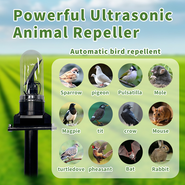 IP55 Level Waterproof and Dustproof, Two-directional Light-sensitive, High-decibel Bird Repelling Device