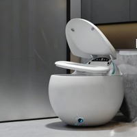 Toilette intelligente à détection automatique, nouvelle conception, électrique, monobloc, sans réservoir, forme œuf, télécommande avancée