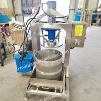 VBJX Commerciële Industriële Zware Kwaliteit RVS Grote Capaciteit Appel Ananas Koudpers Sapcentrifuge Persmachine
