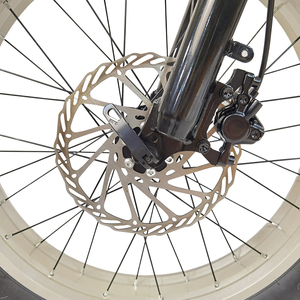 Pin kép 20Ah 22ah 24ah 26Ah 20 inch chất béo lốp xe 350W 500W 750W 1000W trung tâm động cơ E xe đạp có thể gập lại E xe đạp - Product Image 6