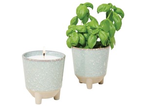 Kits de Fabricación de Velas Aromáticas de Soja Ecológicos de Lujo al por Mayor, Kit Personalizable para <span class=keywords><strong>Plantas</strong></span> de Hierbas de Jardín Casero, Moderno - Product Image 3