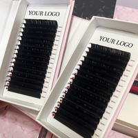 Perlengkapan Grosir Logo Pribadi Matte Black Velvet Mink Eyelash Extension Trays Volume Lashes CC CD DD Dark Black Cashmere Lash