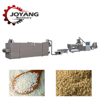 Línea de Producción Industrial de Arroz Artificial Instantáneo, Extrusora de Doble Tornillo, Máquina para Fortificar Granos de Arroz