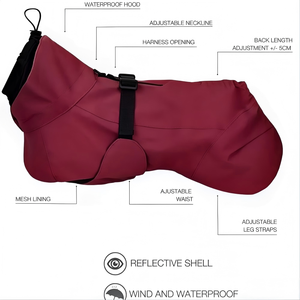 Imperméable écologique personnalisé avec logo <span class=keywords><strong>pour</strong></span> chiens (Dachshund, <span class=keywords><strong>Whippet</strong></span>, Greyhound) - Vêtements d'extérieur <span class=keywords><strong>pour</strong></span> animaux <span class=keywords><strong>de</strong></span> compagnie - Product Image 3