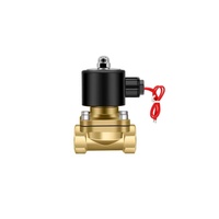Vanne solénoïde en laiton 2W160-15 NC NO 12V 24V 220V 2 voies 1/2 pouce à action directe pour eau, gaz, air, huile