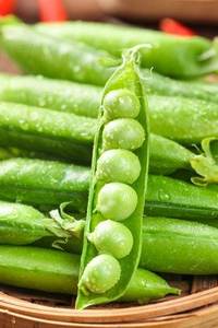 加水分解エンドウ豆タンパク質アイソレート粉末80% 栄養強化粉末 - Product Image 4