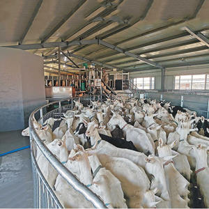 Abri pour animaux à Structure en acier à faible coût, modèles de hangar industriel préfabriqués - Product Image 6