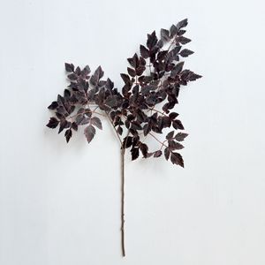 Feuille artificielle de Coleus Copinto <span class=keywords><strong>en</strong></span> soie à 2 branches de haute qualité pour la décoration d'événements - Product Image 5