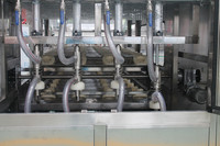 Machine automatique électrique pour bouteilles PET/verre de 5 gallons (20L) avec pompe à moteur à engrenages contrôlée par PLC, précision de 99 % pour flacons de gel et de poudre