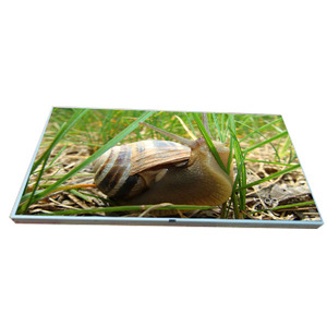 Écran LCD d'origine de qualité LM215WF1-TLD1, 21,5 pouces, 4096x2304, 60Hz, LVDS, 30 broches - Product Image 1