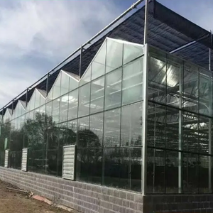Serre en verre trempé de qualité supérieure, toit 4 mm, <span class=keywords><strong>mur</strong></span> rideau extérieur, solarium, mariages, événements, verre de sécurité haute résistance - Product Image 2