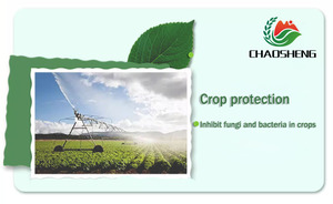 Carbendazim Seed and Soil <strong>Treatment</strong> Seed Dressing for Seed-Borne Disease Control Soil <strong>Treatment</strong> for Soil-Borne Disease Control - Product Image 5