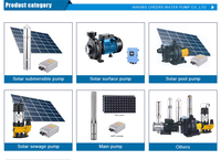 Pompe à eau solaire submersible en acier inoxydable à moteur CC sans balais haute pression OEM pour l'irrigation agricole
