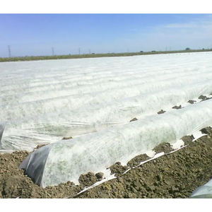 Protection du tissu polypropylène Plante verte Agriculture Couverture en tissu non tissé non tissé - Product Image 5