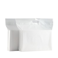 Sacs de Courrier Transparents Mat CPE avec Poignée Longue – Sacs d'Emballage PE Auto-adhésifs pour E-commerce Transfrontalier