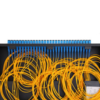 Splitter Optik PLC 16 Port 1x16 SC/APC Fiber FTTA Singlemode Outdoor untuk Penggunaan CATV SC LC UPC APC FC Cocok untuk POE IP